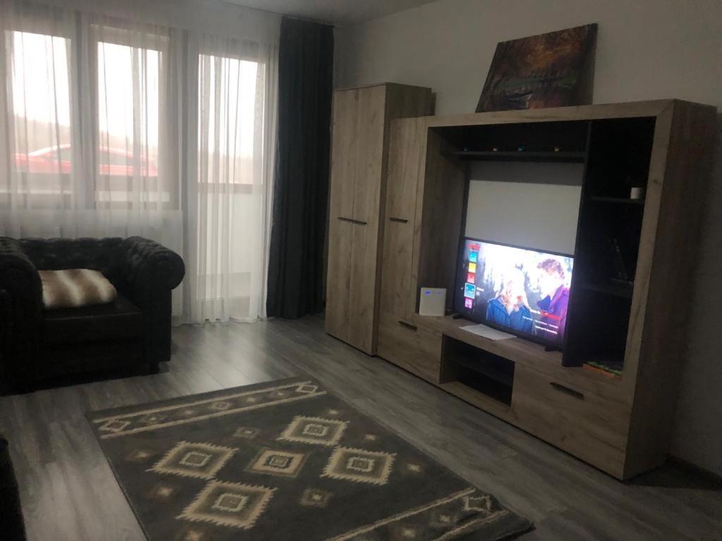Ilinca-Zgatia Apartment Piatra Neamţ Exterior foto
